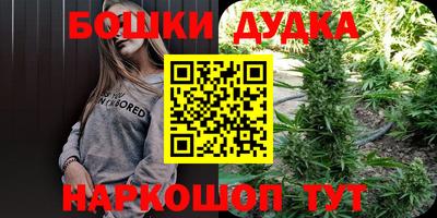 прущие грибы Апшеронск