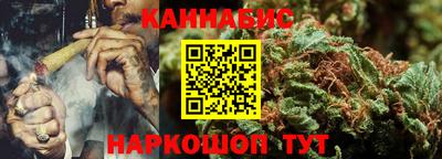 прущие грибы Апшеронск