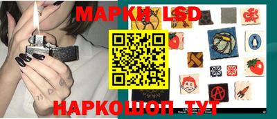 прущие грибы Апшеронск