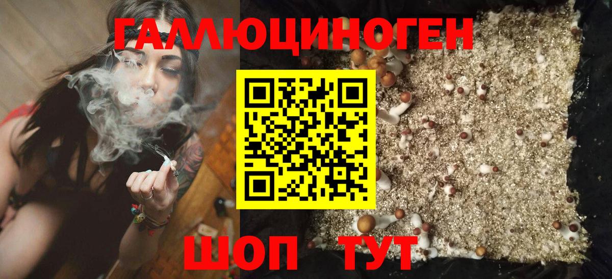 Артёмовский  Галлюциногенные грибы мухоморы  Вход с VPN 