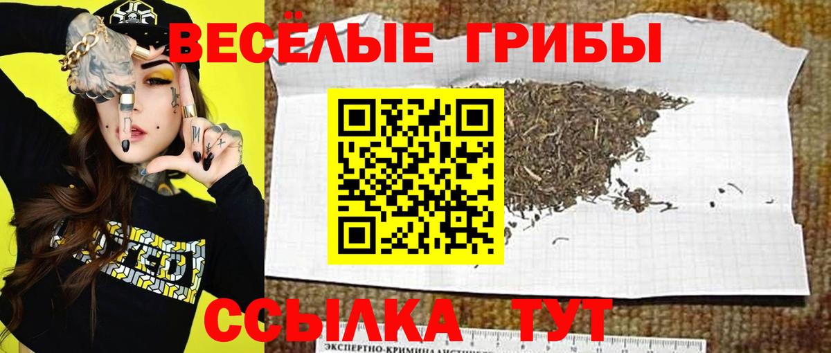 Псилоцибиновые грибы мухоморы Артёмовский